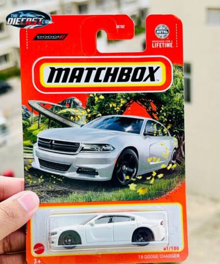 IMPORTED - '18 Dodge Charger - International Long Card