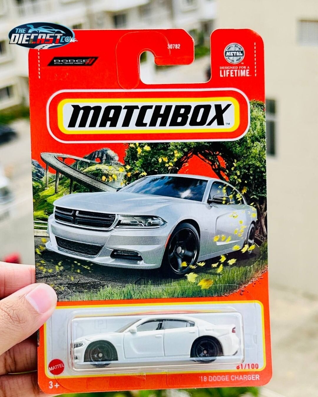 IMPORTED - '18 Dodge Charger - International Long Card